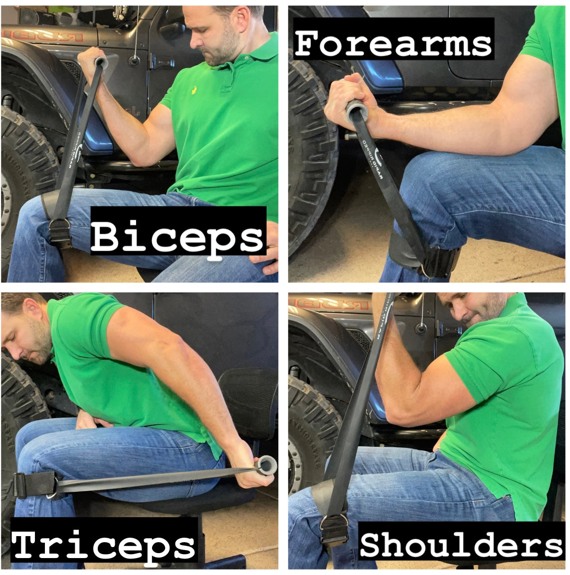 Rapid Ripped Arms (Free Shipping)